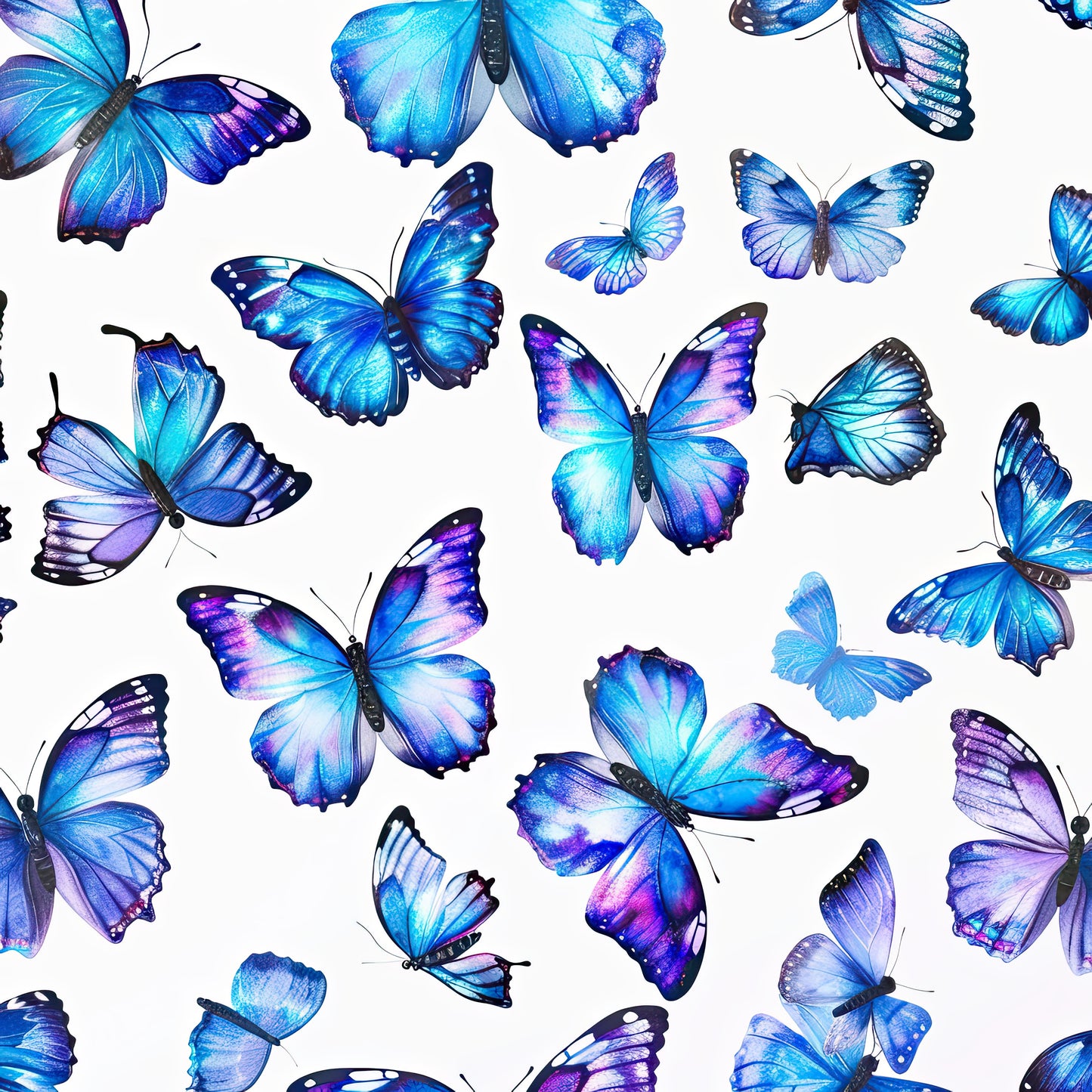 Butterfly Collection 1